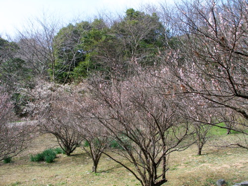 c0036203_22184296.jpg