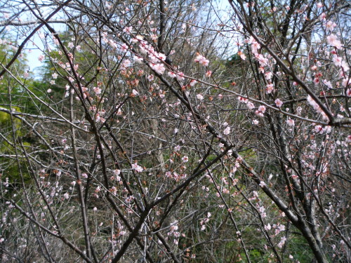 c0036203_22233121.jpg