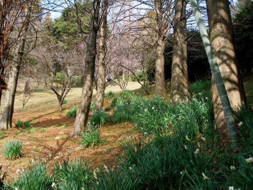 c0036203_22254119.jpg