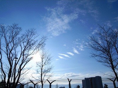 e0145805_14422122.jpg