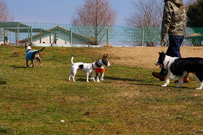 e0145805_1450999.jpg
