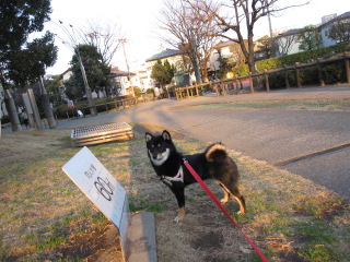 c0185516_23124529.jpg