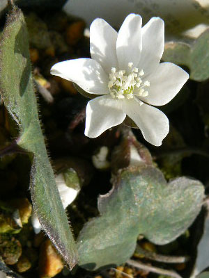 e0148120_2217742.jpg