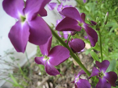 f0139520_21184345.jpg