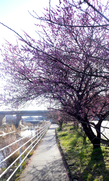f0060424_14292550.jpg