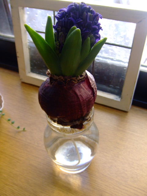 c0110930_2131127.jpg