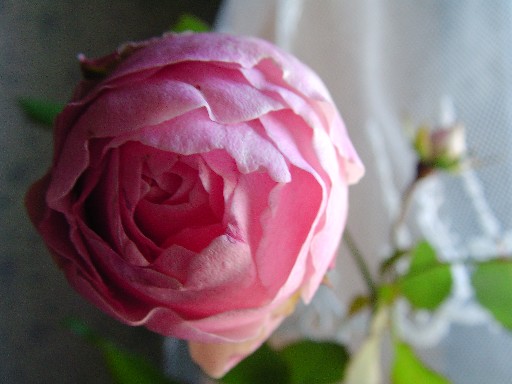 f0002833_20162240.jpg