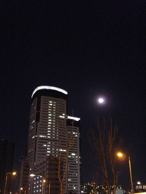 e0081334_2051299.jpg