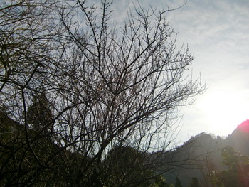 c0183137_23163023.jpg