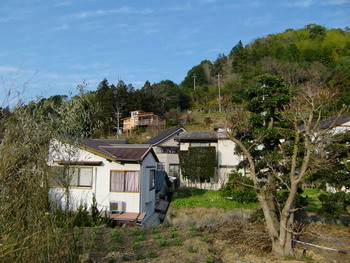 c0183137_239273.jpg