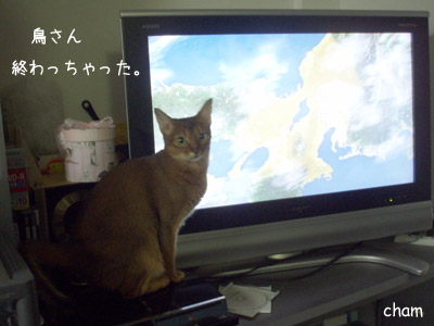 c0132438_22195711.jpg