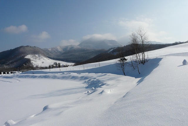 f0003138_10203890.jpg