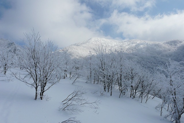 f0003138_10393420.jpg