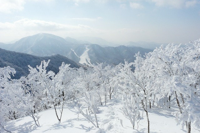 f0003138_104819100.jpg