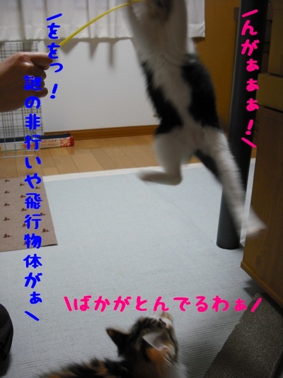 c0181639_1937031.jpg