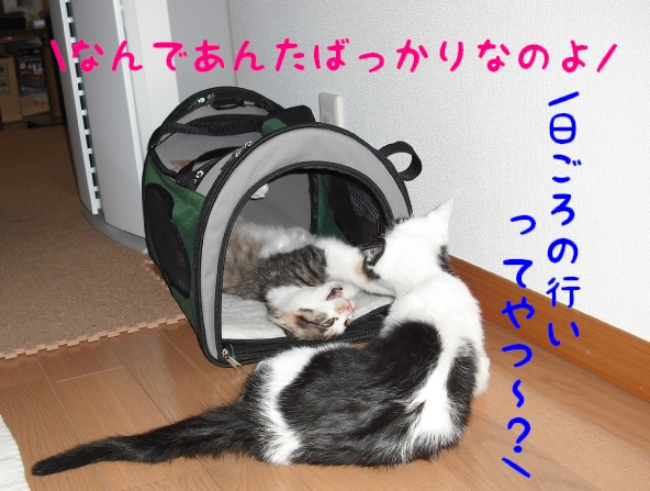 c0181639_19375939.jpg