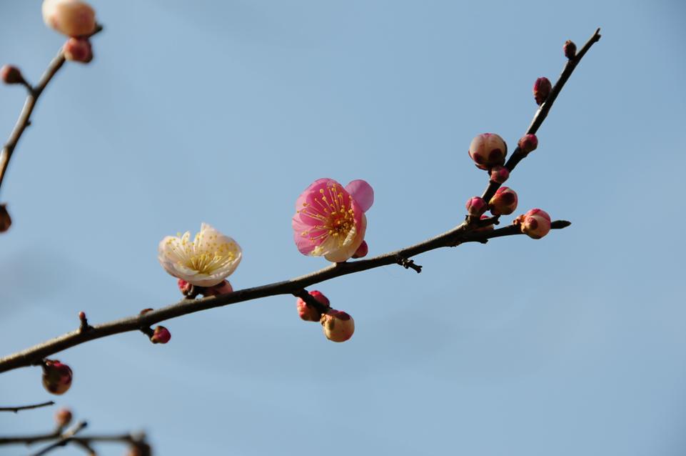 c0147241_22144810.jpg