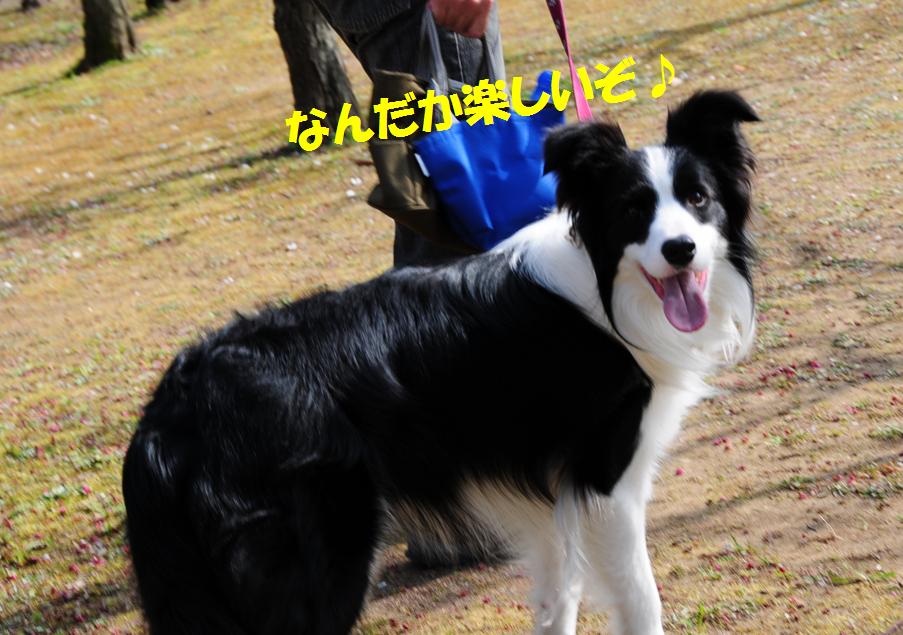 c0147241_2214959.jpg