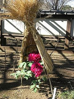 f0075043_20113228.jpg