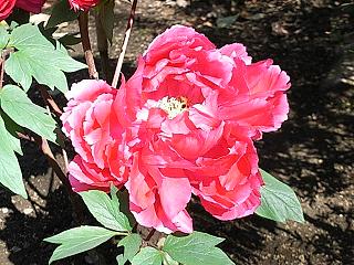 f0075043_20122617.jpg