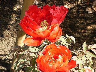 f0075043_20141751.jpg