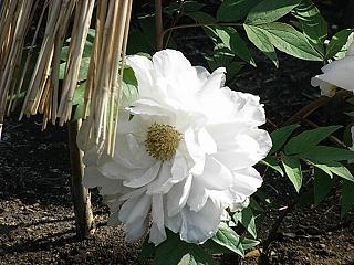 f0075043_20143823.jpg