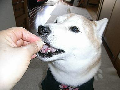 f0075043_2043957.jpg