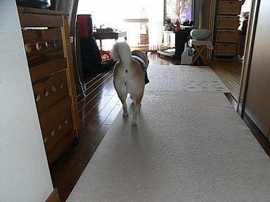 f0075043_2046938.jpg
