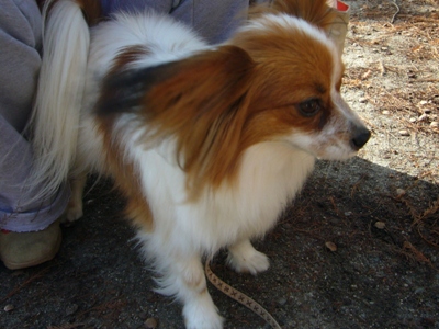 e0100046_16235033.jpg