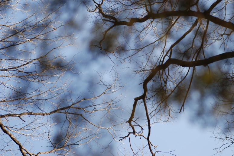 e0009147_11472060.jpg