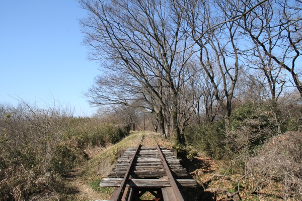 a0048851_186438.jpg