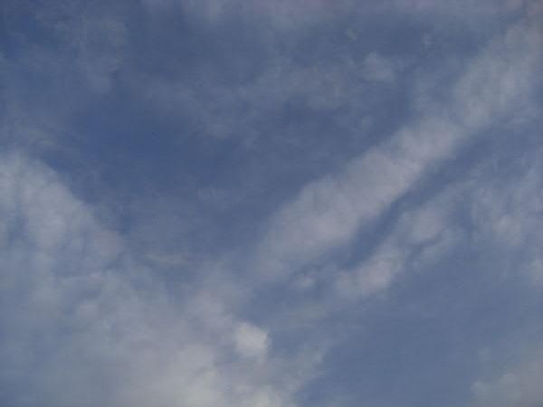 e0017051_23184414.jpg
