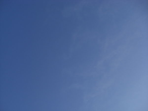 e0017051_2320484.jpg