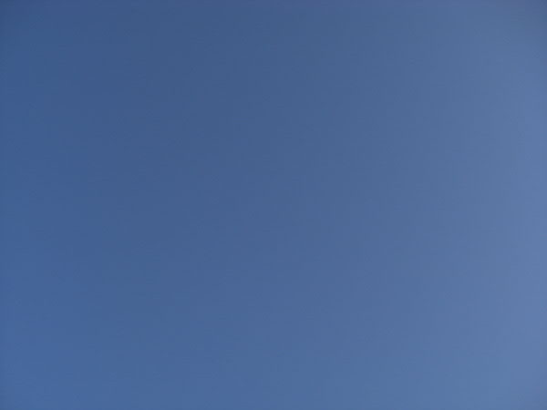 e0017051_2385753.jpg