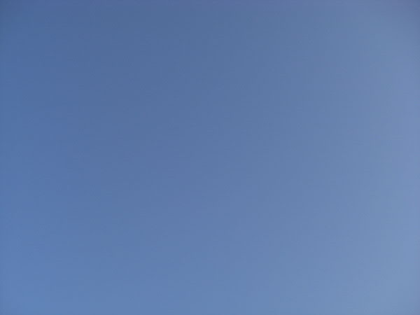 e0017051_2392236.jpg