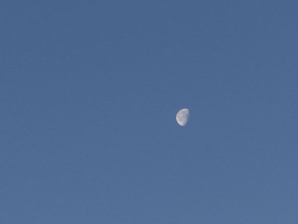 e0017051_2393754.jpg