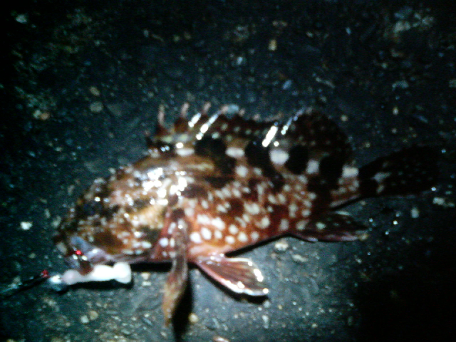 f0150151_10285562.jpg