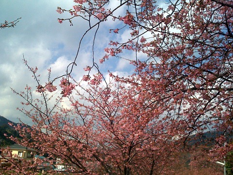 e0050753_1202584.jpg