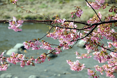 e0050753_16271142.jpg