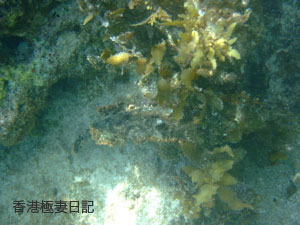 f0190653_11292826.jpg