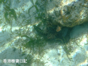 f0190653_11294887.jpg