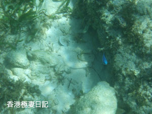 f0190653_1130168.jpg