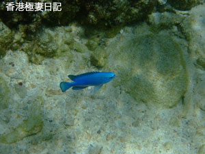 f0190653_11302128.jpg
