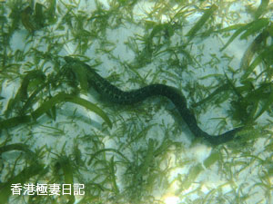 f0190653_1131030.jpg
