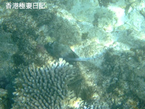 f0190653_11312321.jpg