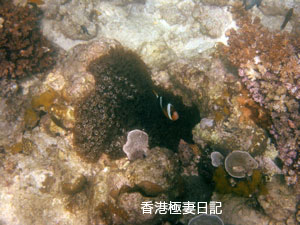 f0190653_11322070.jpg