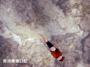 f0190653_1132862.jpg