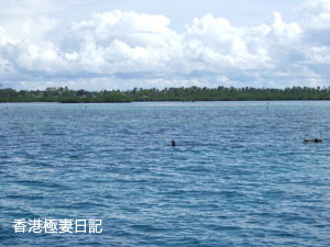 f0190653_1134669.jpg