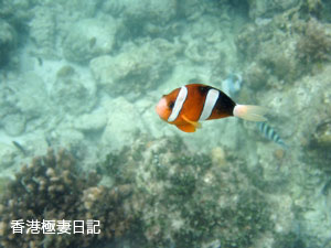 f0190653_9261945.jpg