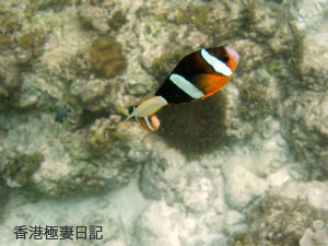 f0190653_9265025.jpg